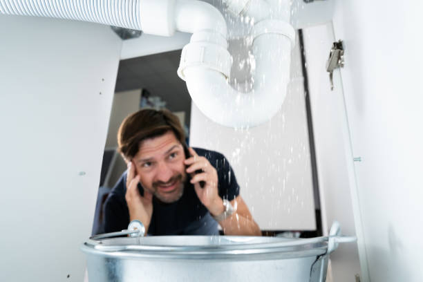 Best Affordable Plumbing Services  in Coal Valley, IL