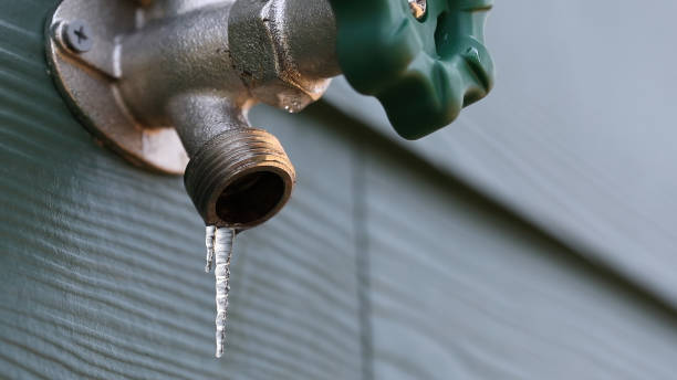 Best Plumbing Repair Near Me  in Coal Valley, IL