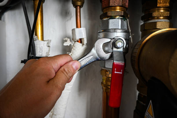 Best Plumbing Inspection Services  in Coal Valley, IL